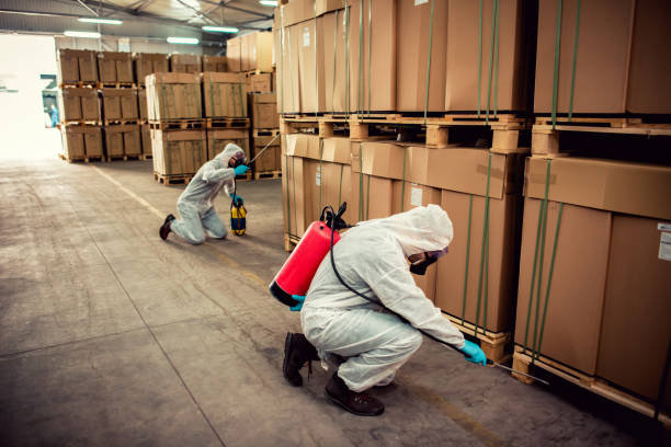 Best Pest Control Near Me  in Winter Park, FL