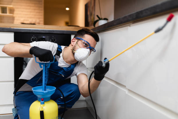 Best Rat Extermination Near Me  in Winter Park, FL