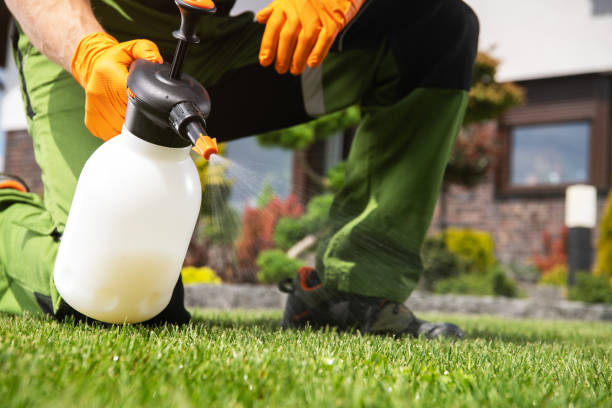 Professional Pest Control in Winter Park, FL
