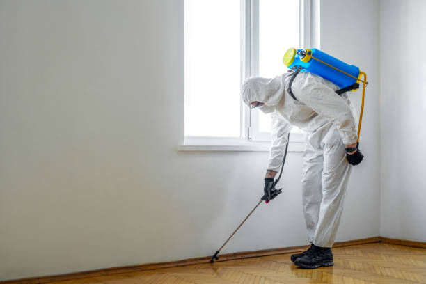 Best Termite Control Services  in Winter Park, FL