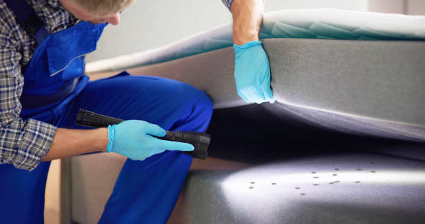 Best Mosquito Control Services  in Winter Park, FL