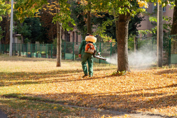 Best Bed Bug Extermination  in Winter Park, FL