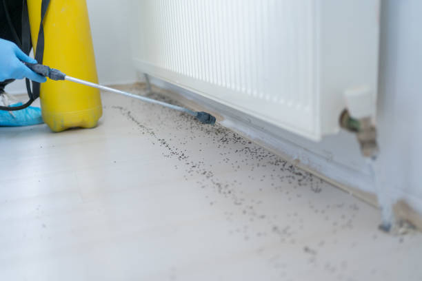 Best Affordable Pest Control Services  in Winter Park, FL